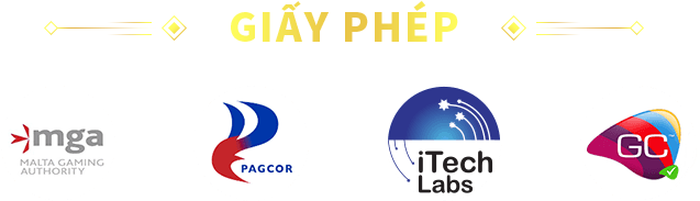 Giấy phép hoạt động