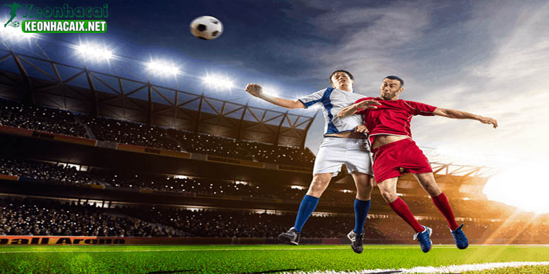 Khái niệm tỷ lệ kèo - odds
