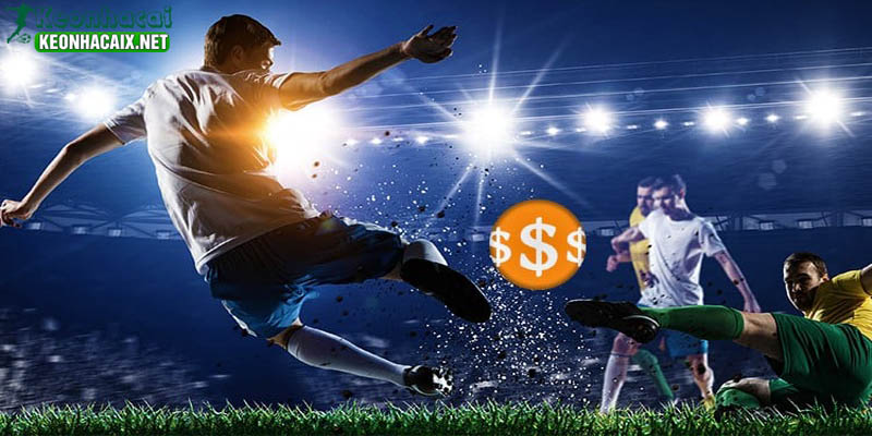 Nhận Định Trận Đấu Theo Từng Ngày Liên Tục, Chính Xác